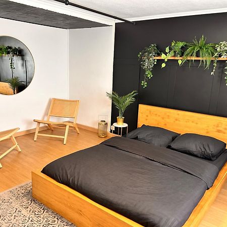 וילנוב-לו-רואה Guibert Home - Studio 2 Personnes מראה חיצוני תמונה